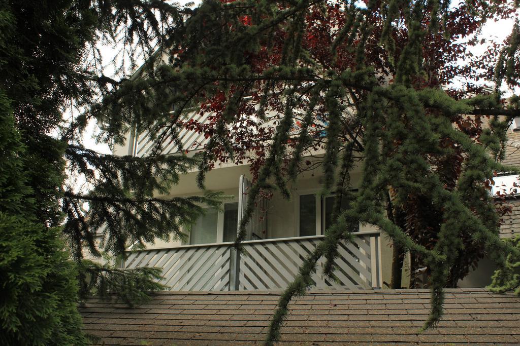 Vila Apartment Bled Lake 외부 사진